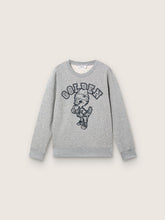 Golden Goose Journey crew neck sweatshirt for boys in gray melange cotton with mascot print