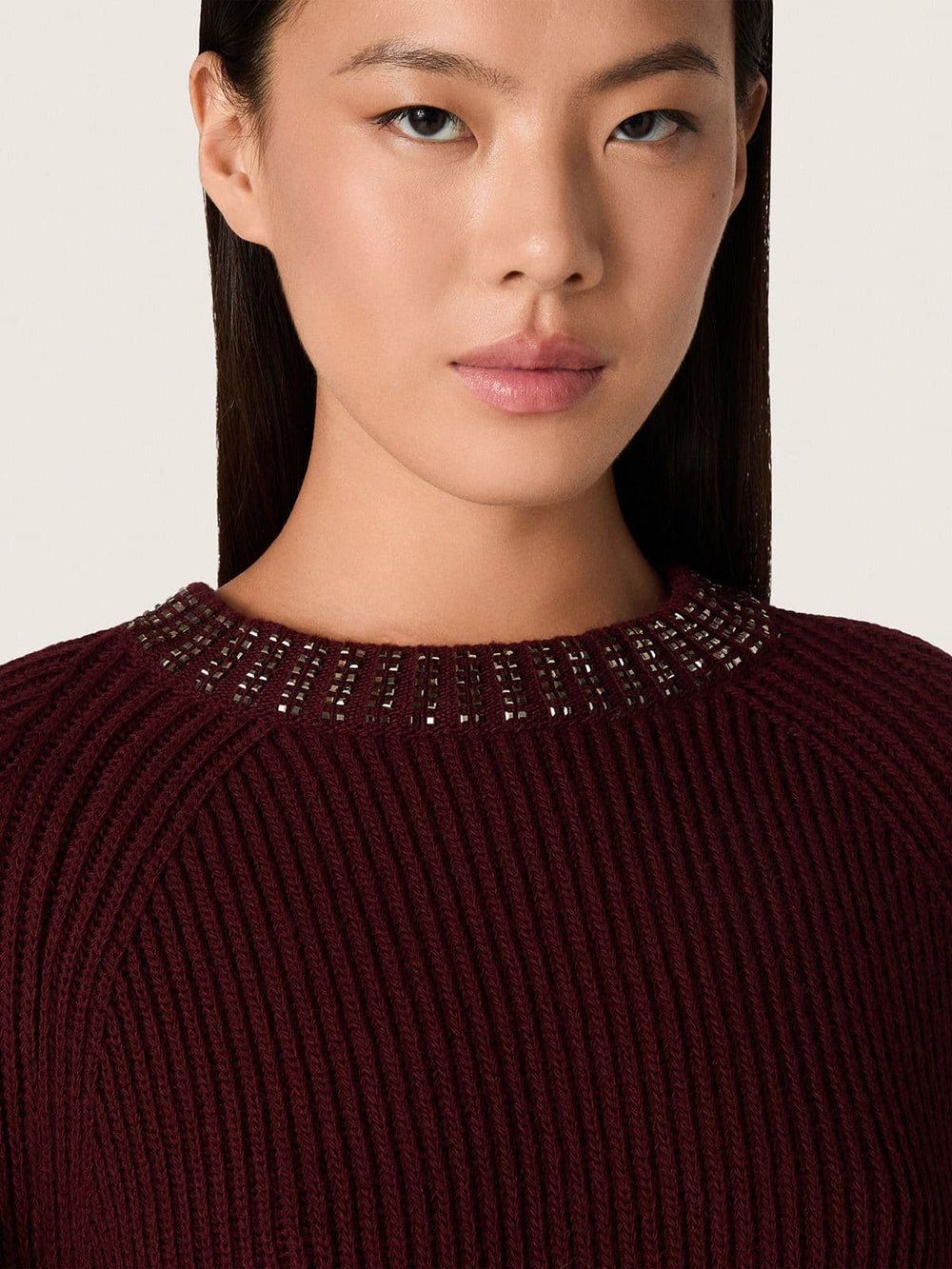 Golden Goose Women's crew-neck sweater in burgundy wool with rhinestone embroidery